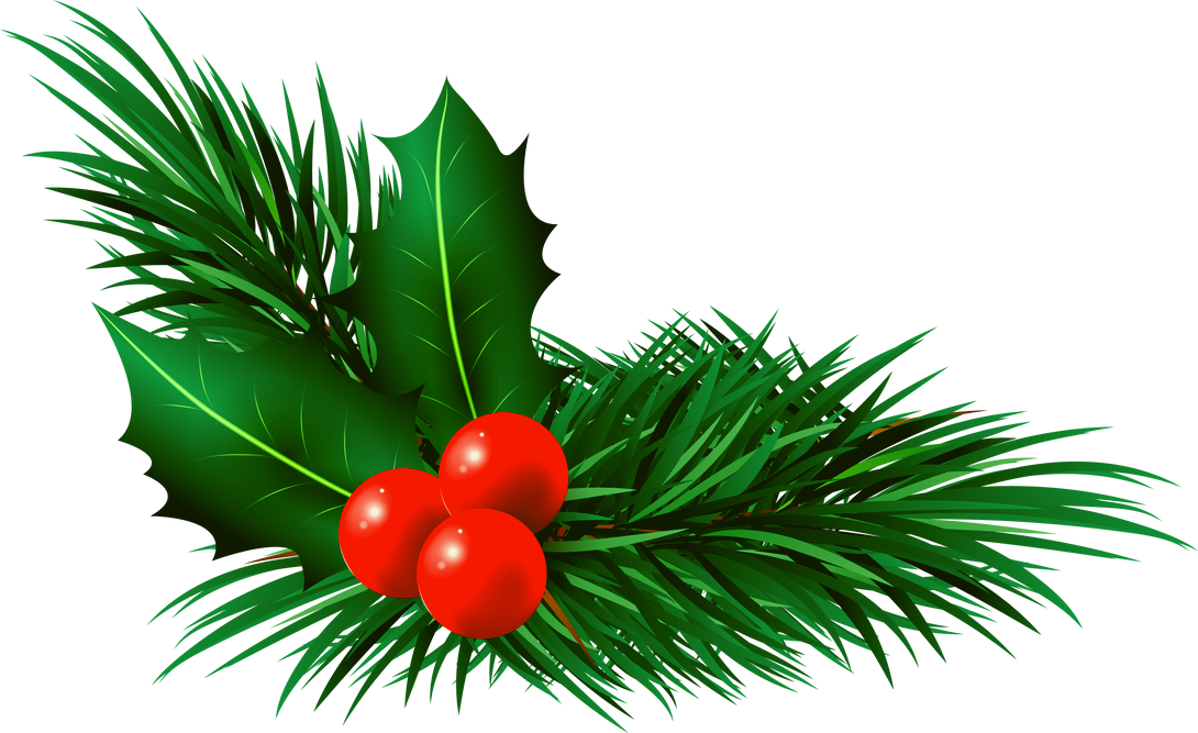 Christmas mistletoe holly berry with pine leaves corner decoration